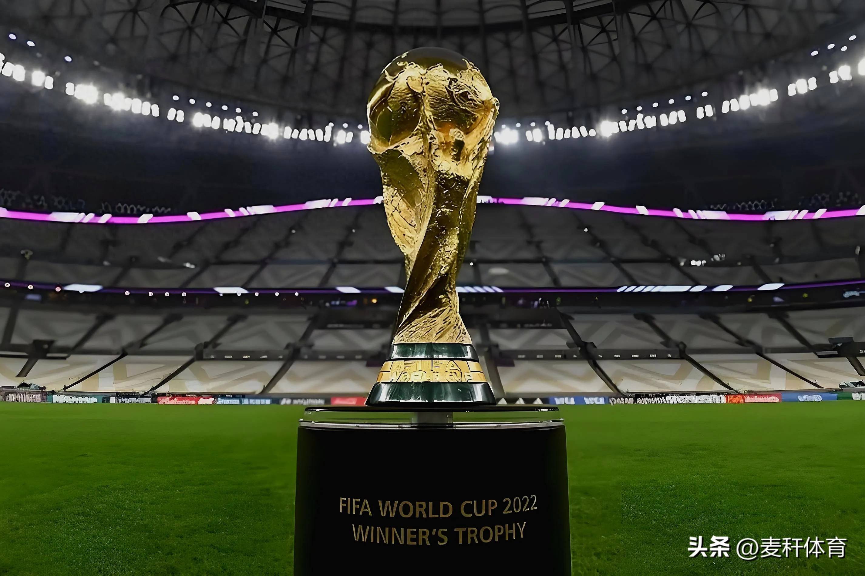 但他们都以 但他们都以