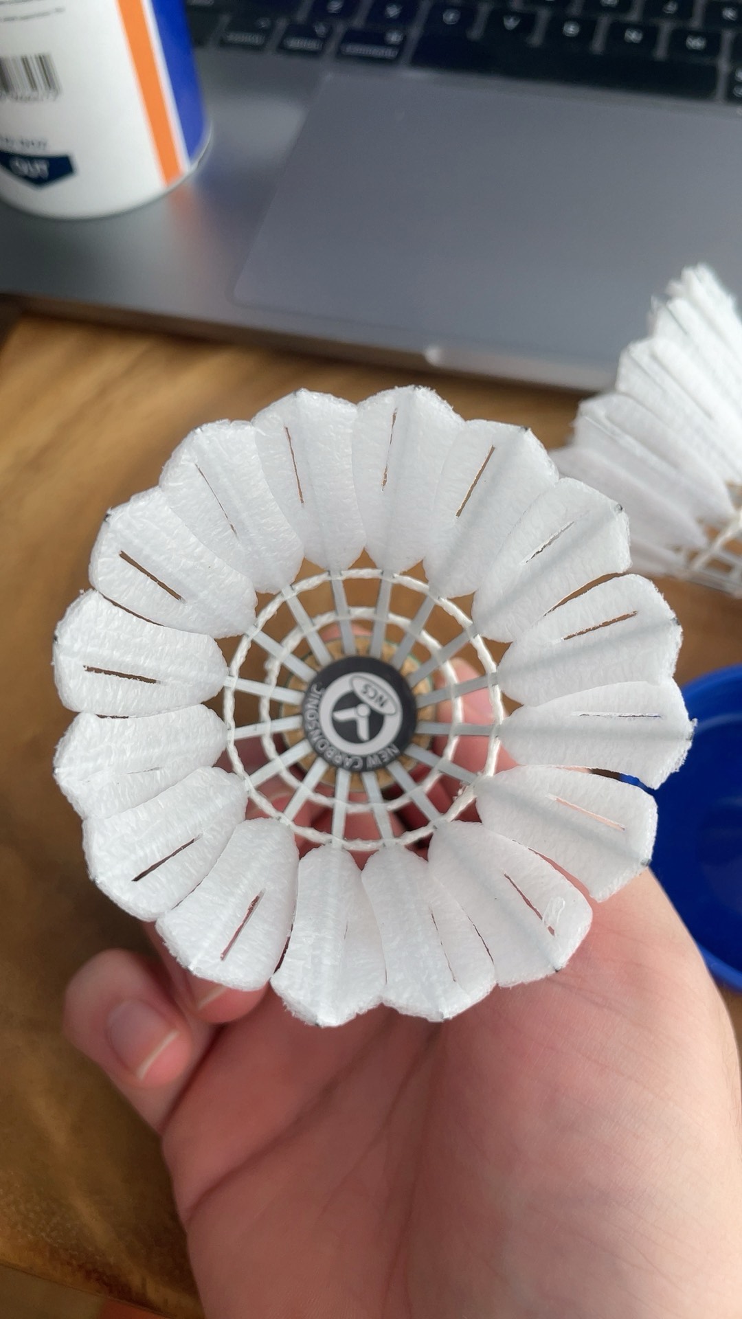 再次成为焦 再次成为焦