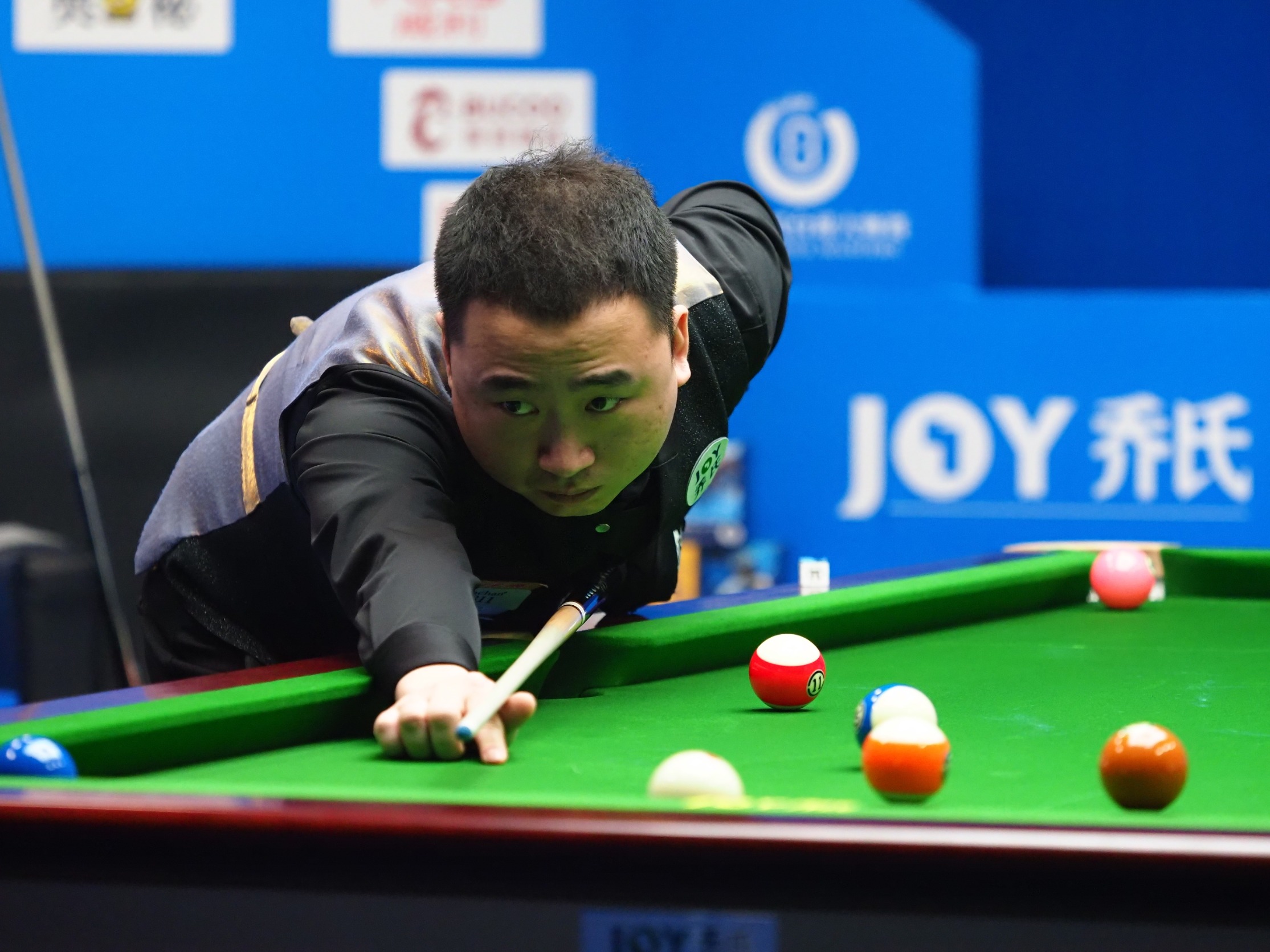 供了一次宝 供了一次宝