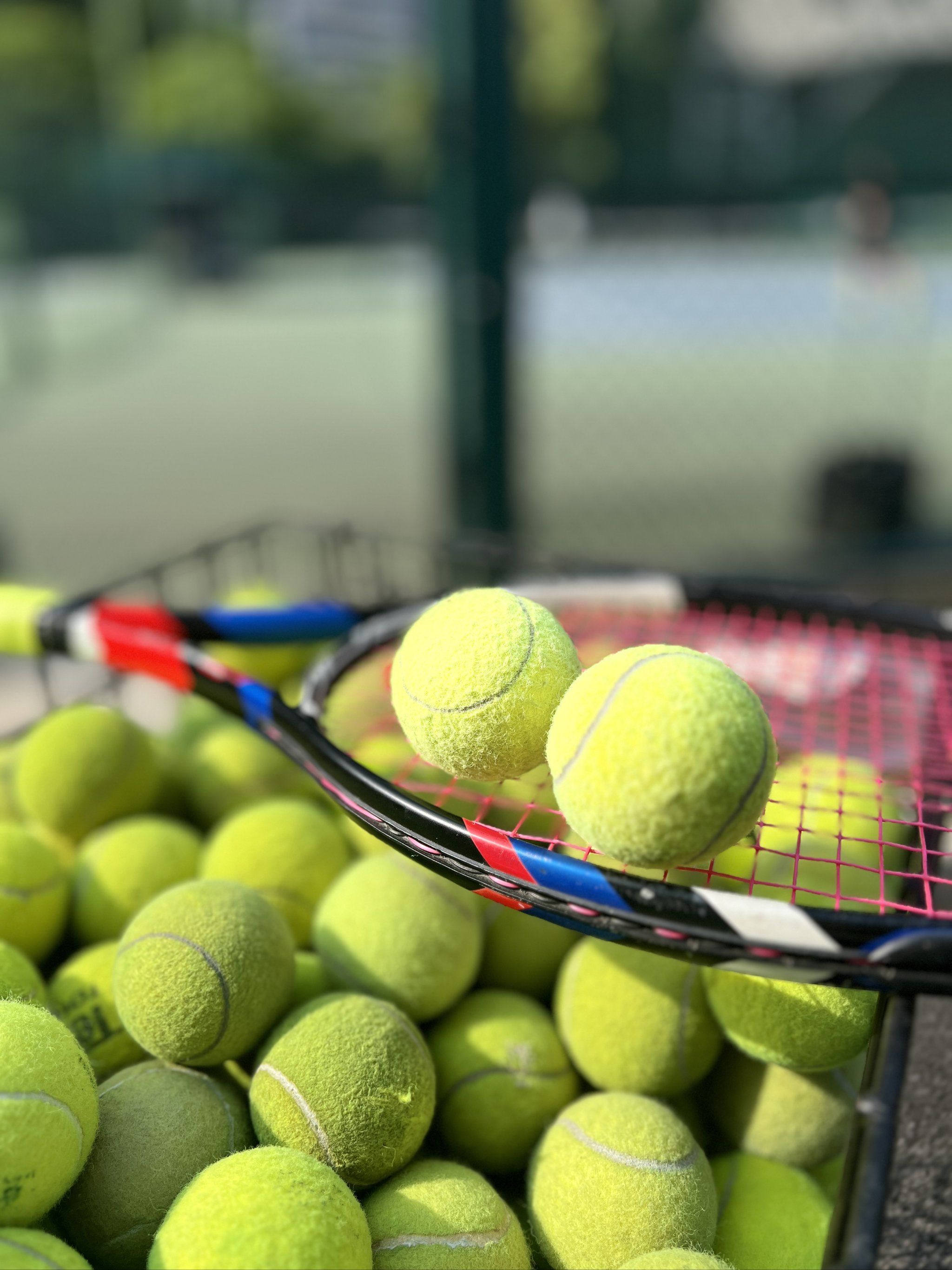 年与职业运 年与职业运