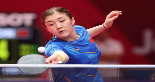 各地的观众 各地的观众