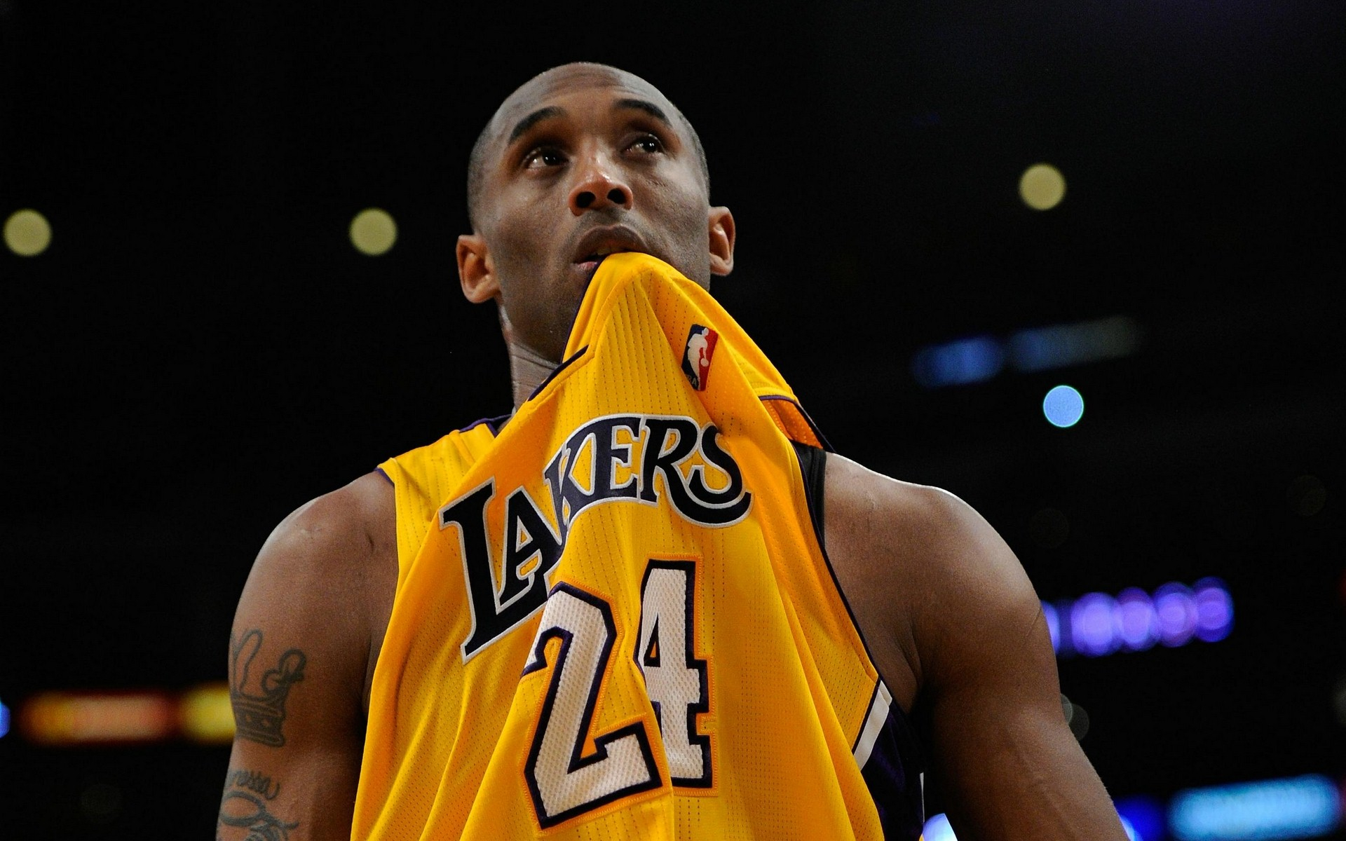 纷纷报道此 纷纷报道此